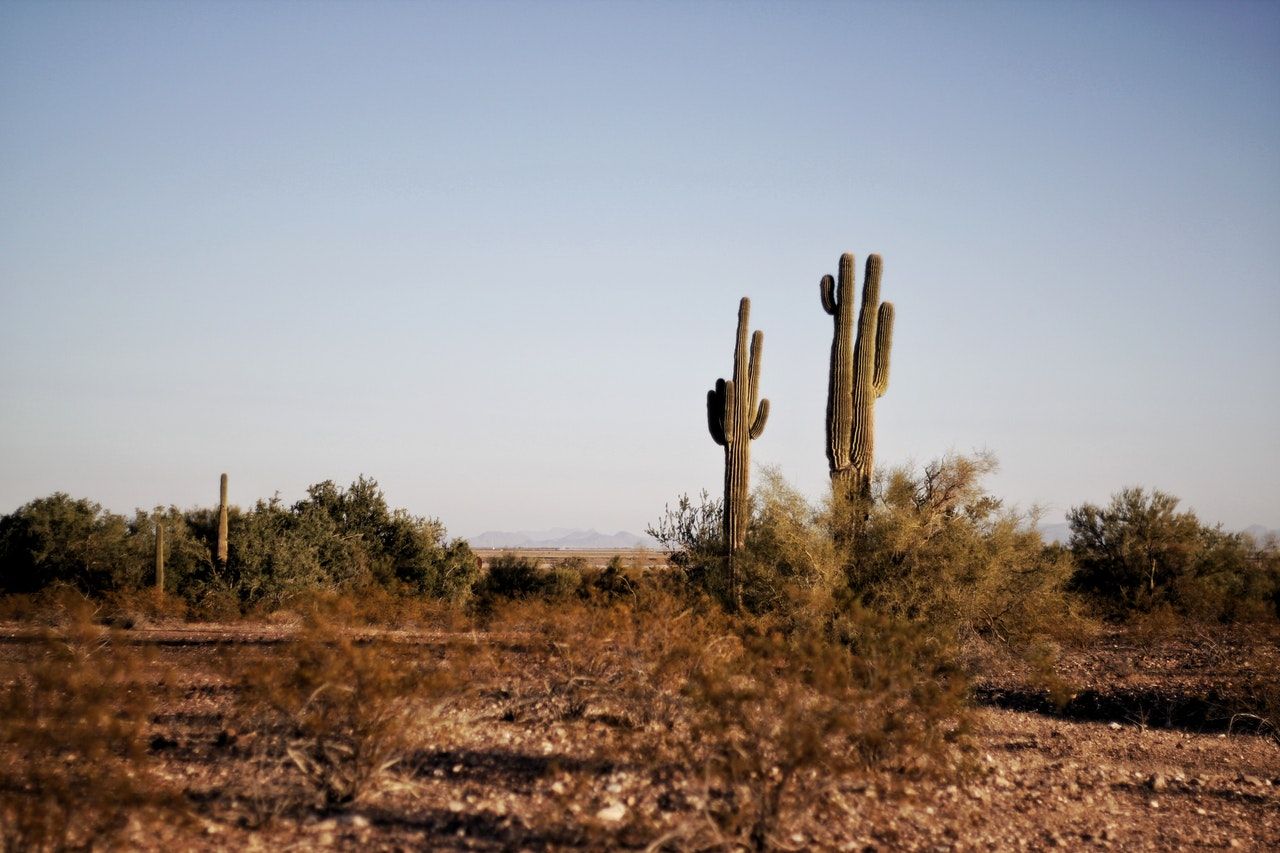 Applying to medical schools in Texas