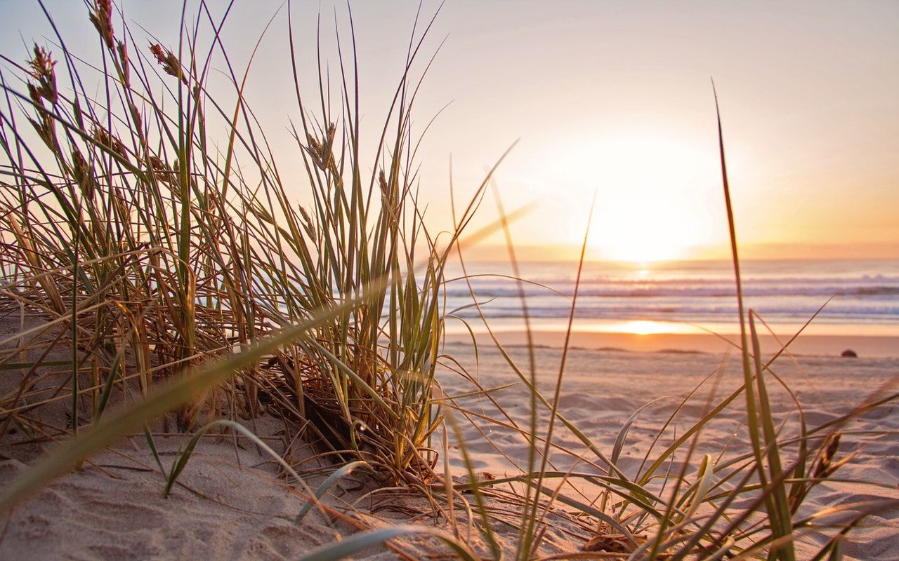 summer-plans-coronavirus
