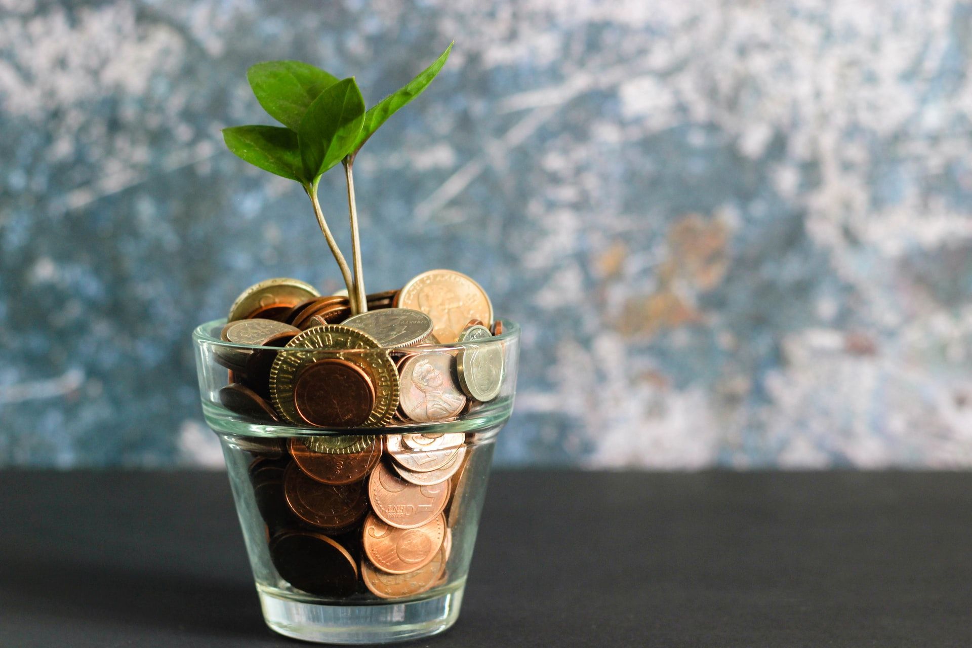 coins in cup with plant