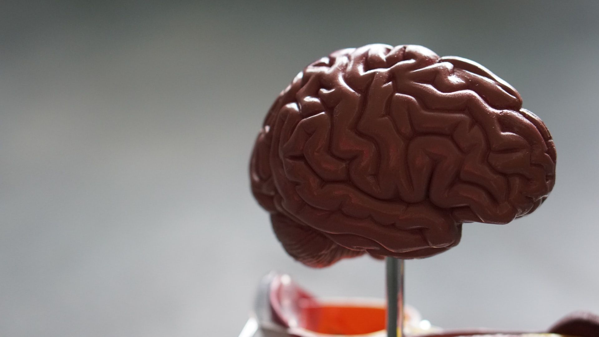 Brain figure