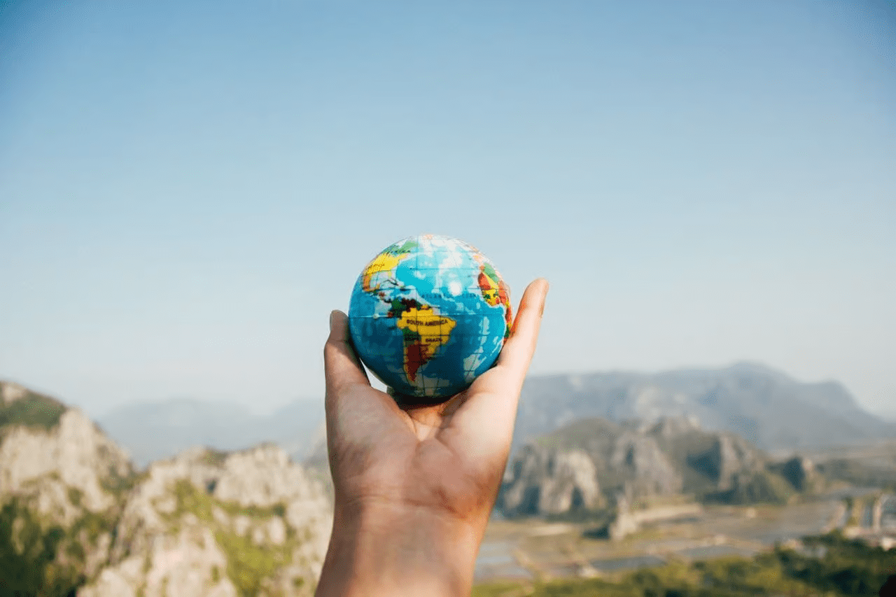 Student planning goals and tasks during a gap year before applying to medical school