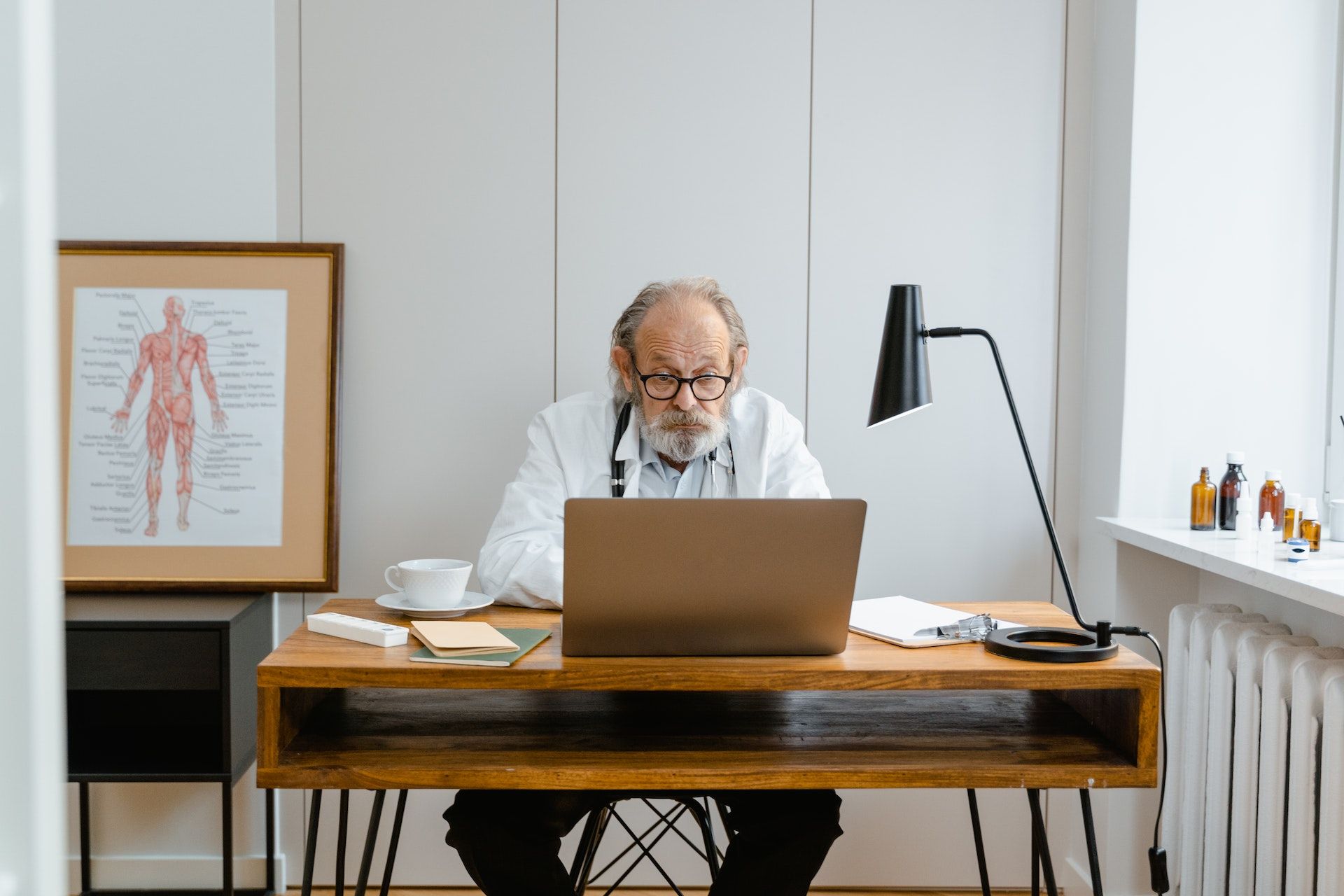 Elderly doctor studying at a computer.