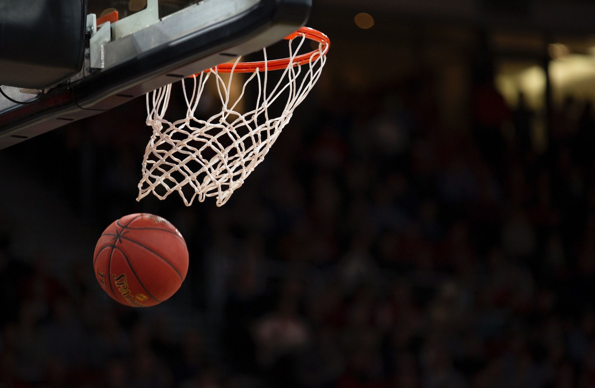 Basketball going through hoop - Student-Athlete to Medical Student