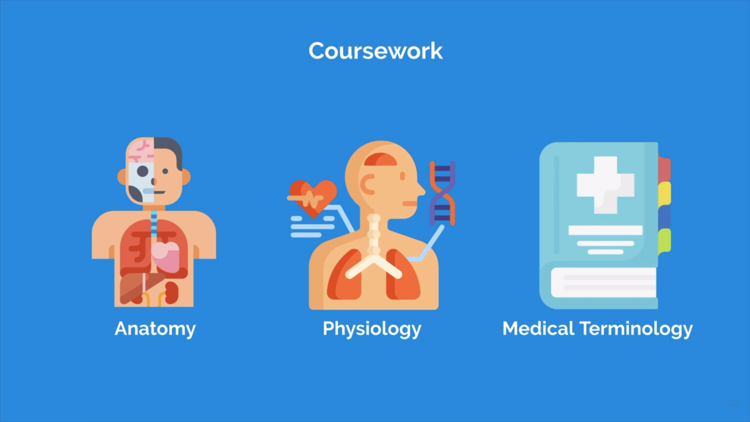 Learn about medicine as a scribe - anatomy, physiology, medical terminology .