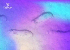 Abstract footprints in the snow - application cold feet