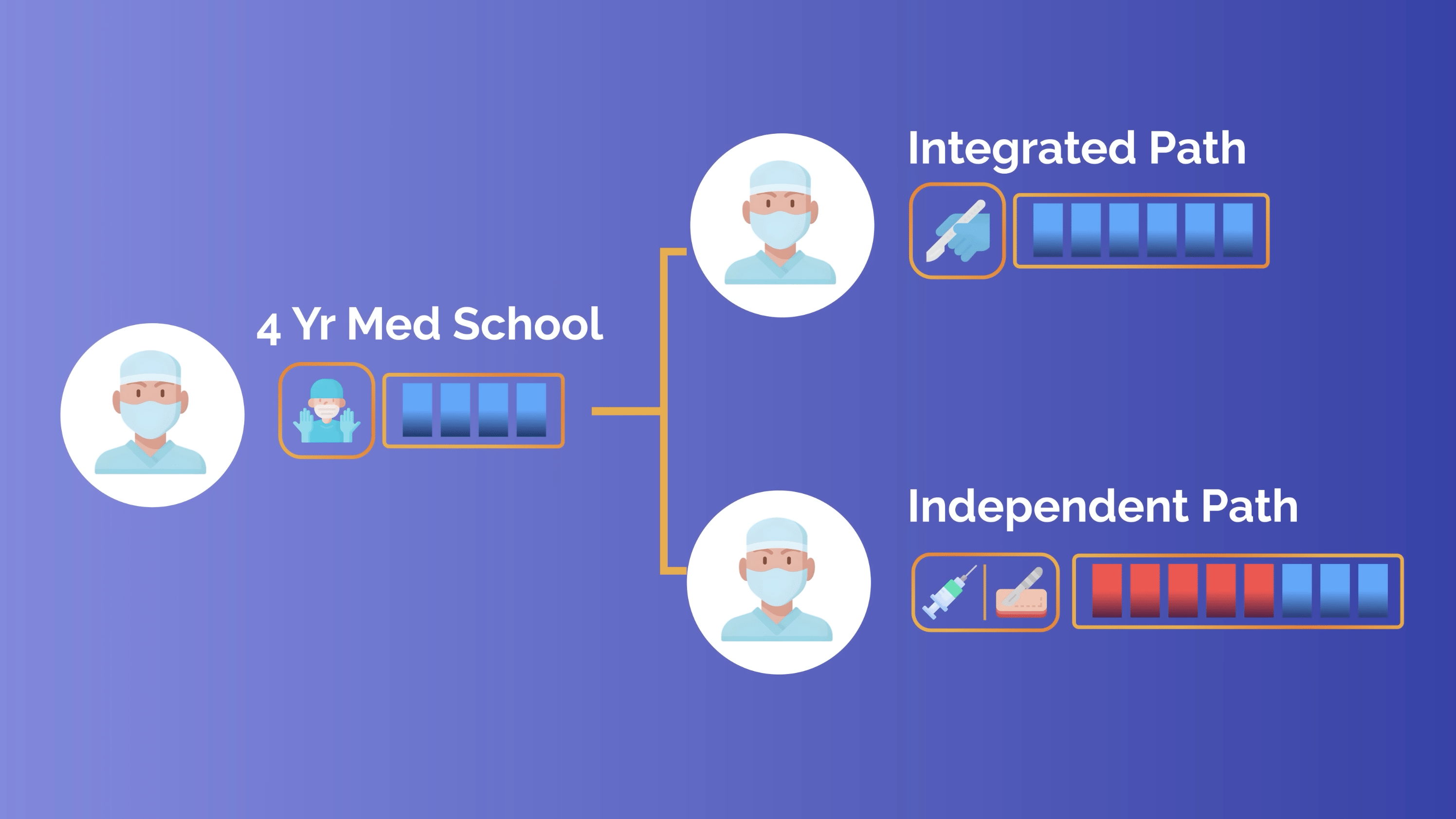 Infographic showing Plastic Surgeon's Training