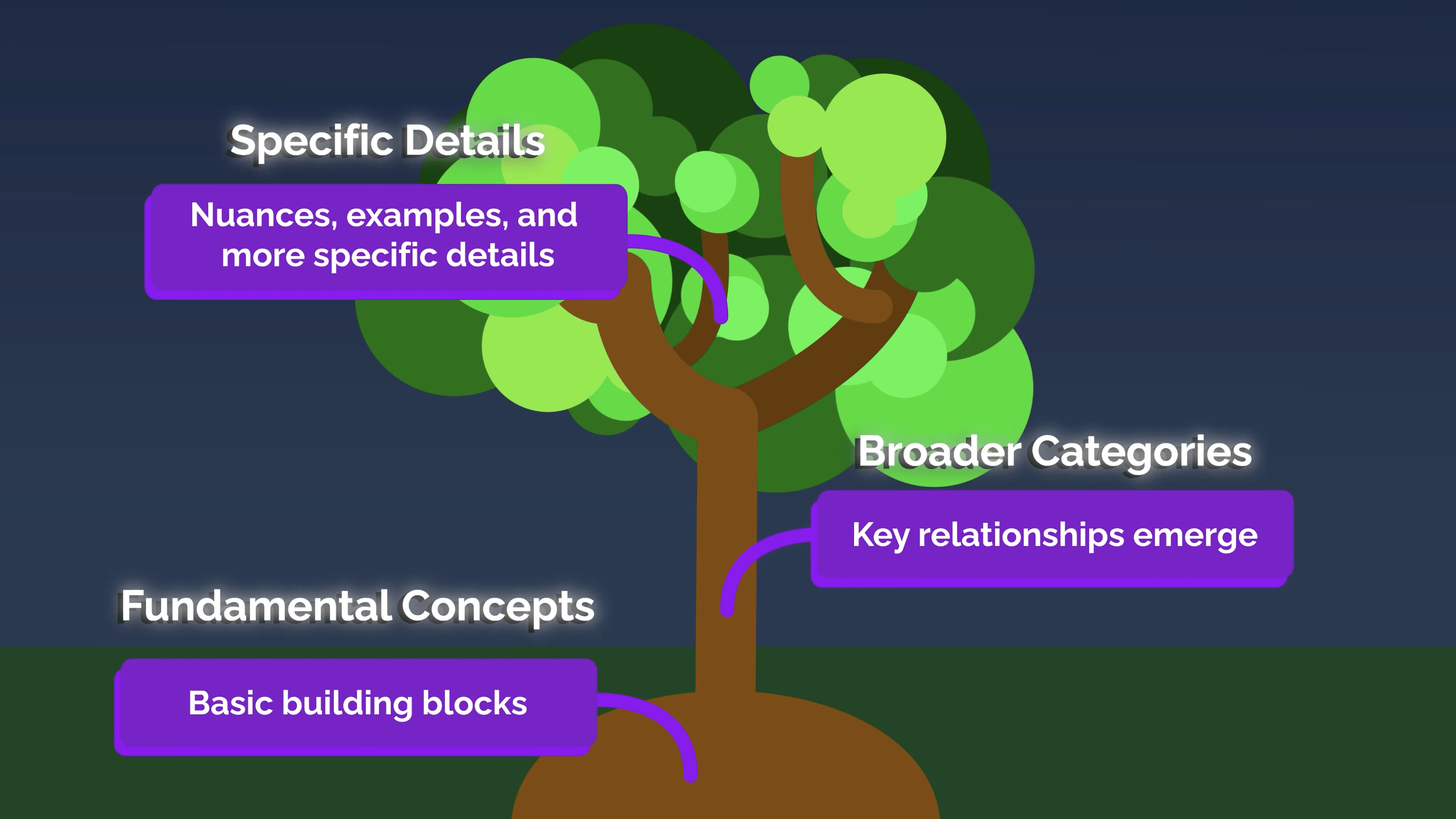 Infographic showing the different aspects of the Semantic Tree