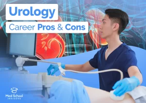 urologist taking an ultrasound. 3D kidney illustration as a background.