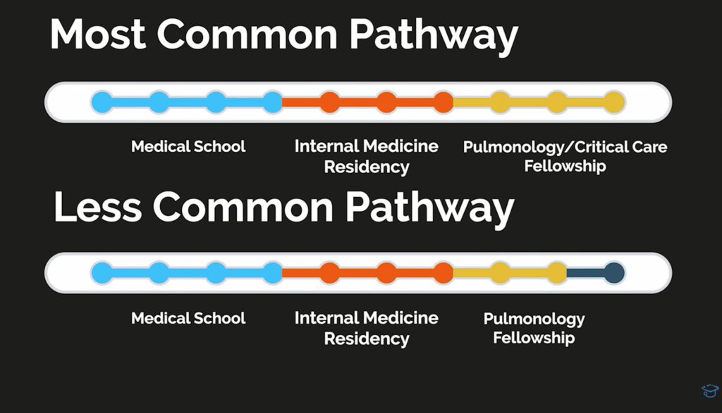 Diagram showing pulmonology training pathways. The most common pathway includes medical school, internal medicine residency, and pulmonary/critical care fellowship. The less common pathway includes medical school, internal medicine residency, and pulmonology-only fellowship without critical care training.